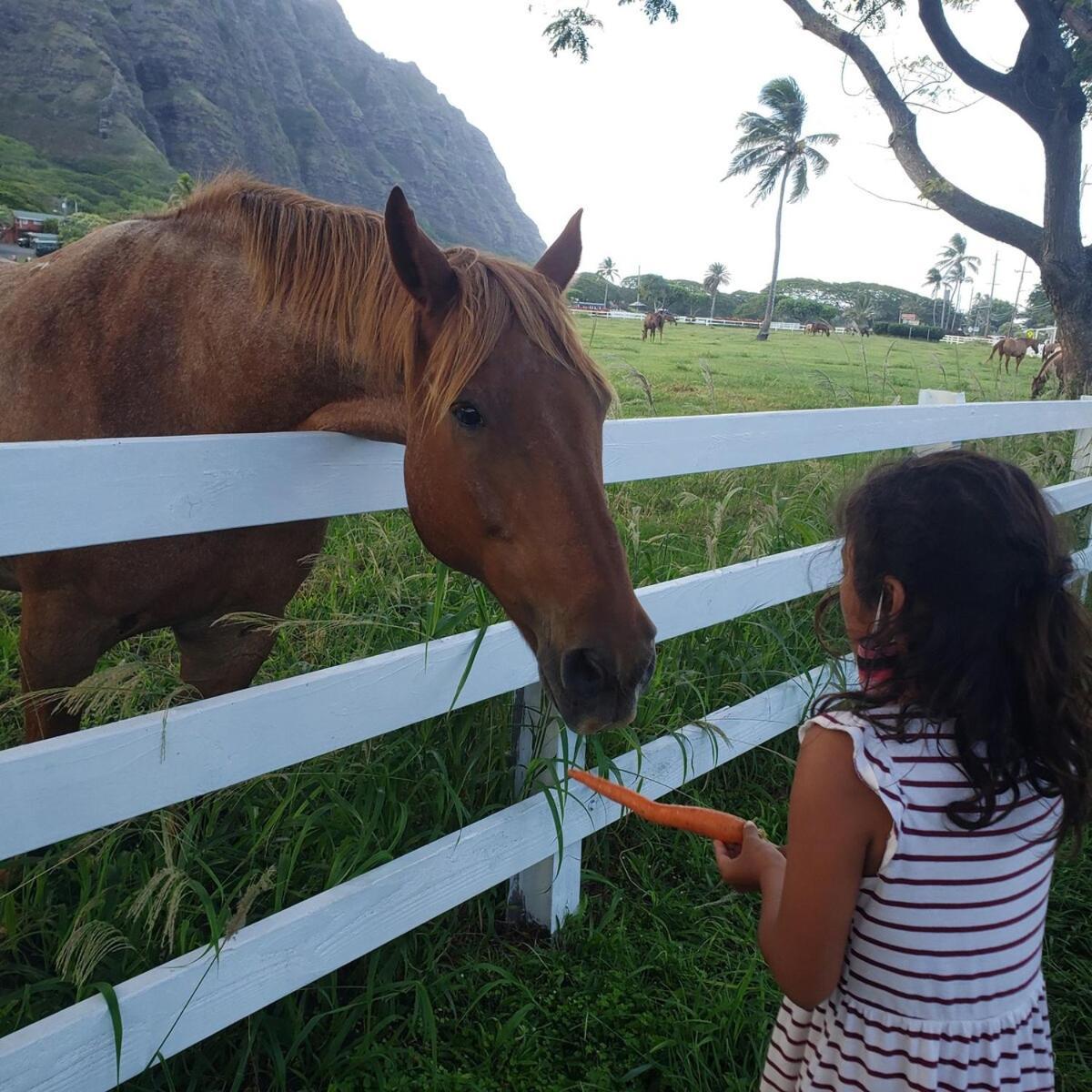 1Br With 1Ba Oceanfront In Beautiful Kualoa Vila Kaneohe Exterior foto